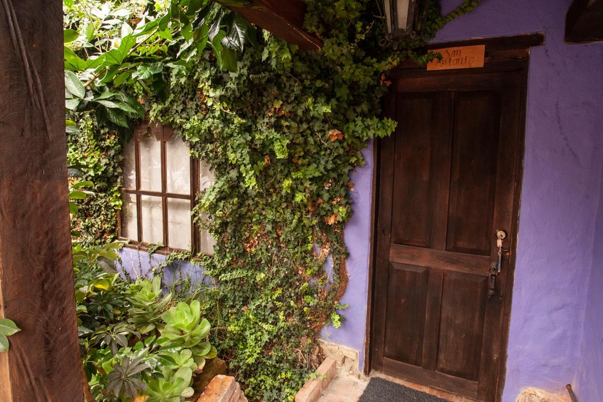 Hacienda Flamingo Guest House บียาเดเลย์บา ภายนอก รูปภาพ